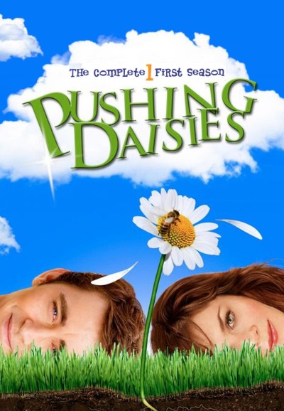 Pushing Daisies - Season 1 [3163] (A1271089785) [[TV Shows]] --Plex--